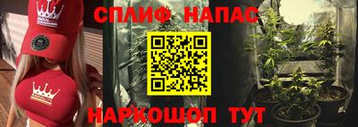 spice Обнинск