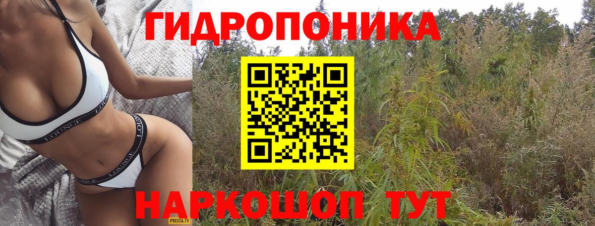 Шишки марихуана индика Сердобск